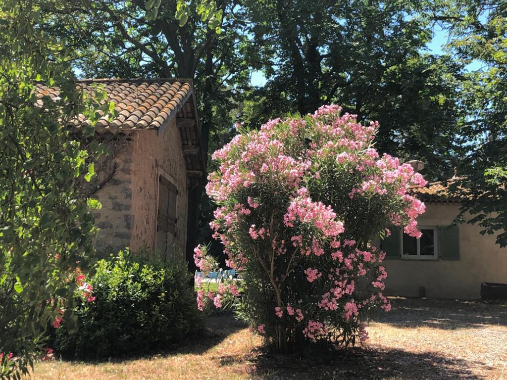 BizanetLe Nid Des Corbieres住宿加早餐旅馆 外观 照片