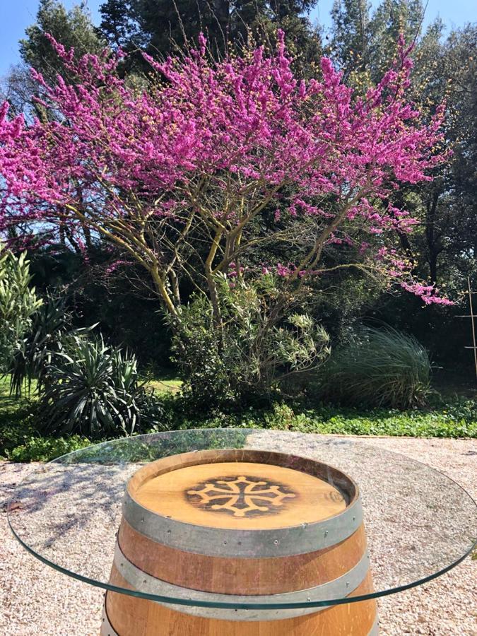 BizanetLe Nid Des Corbieres住宿加早餐旅馆 外观 照片
